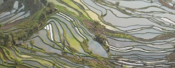 Tour des rizières en terrasse de Yuanyang