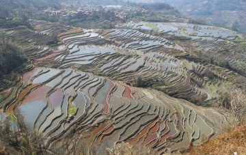 Terrazas de arroz y pueblos Hani de Yuanyang